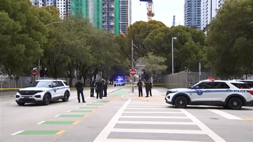 Man arrested for fatally beating 2 homeless people in Miami pleads not guilty