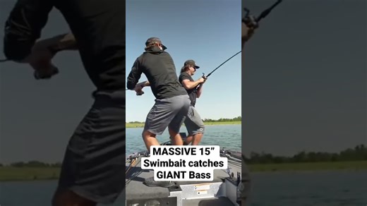 Why Oversized Swimbaits Can Hook Giant Bass