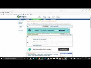 LINGOES - TRADUTOR INSTANTÂNEO DE TEXTOS