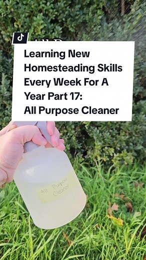 DIY All Purpose Cleaner with Natural Essential Oils | Eco-friendly Cleaning