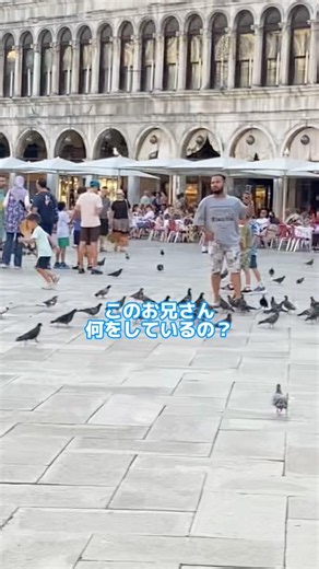 💪【ヴェネツィアの🐦詐欺とは？？！！！イタリア旅行安全攻略！】
