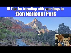 Traveling Utah With Dogs Made Easy With These Tricks