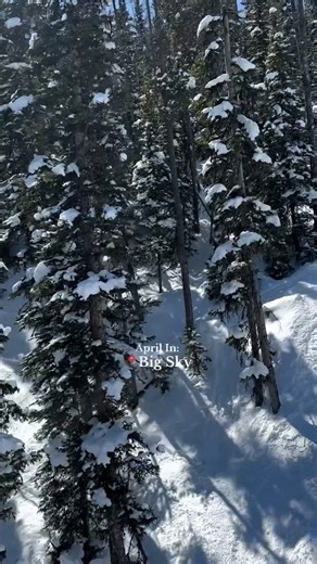 Big Sky, you really showed up this month. From bluebird après days to cozy nights filled with music, April brought all the feelings 🫶. Tomorrow marks the end of our winter ski season here in Big Sky. We are so happy to have spent this one with one. 🎥 @the_travelingbrunettes #bigskylife #visitbigsky | Big Sky Town Center