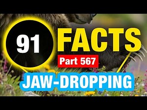 91 Random Facts | Amazing Facts You Didn’t Know
