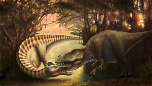 66 Million Years Ago, This Dinosaur Got A Tooth Lodged In Its Face. Now, We Finally Know What Put It There.
