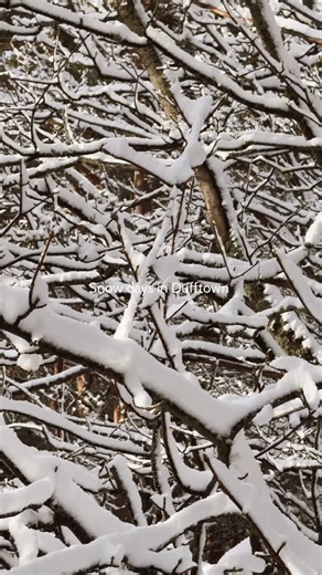 50 reactions | ❄️ Snow days in Dufftown ❄️ We’ve loved seeing the...