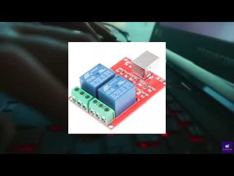 Review - NOYITO 2-Channel 5V Computer USB Control Switch Relay Module Drive-Free Relay Mo