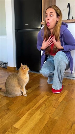 Les Zones de Sécurité Magiques !