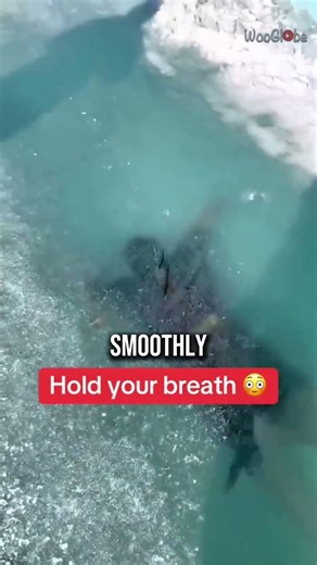 He Dove Under a Frozen Pool… Then Almost Missed the Exit