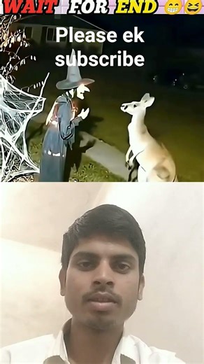 #funny#Intro ducing the vitel wear