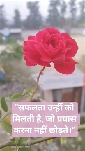 सफलता उन्हीं को मिलती है जो मेहनत करना नहीं छोड़ते #motivation #pcs #ias #ssc