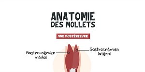 Des mollets d'acier : force, endurance et esthétique