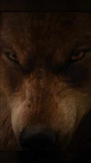 Jacob Becomes the ALPHA 🐺🔥 | Twilight: Breaking Dawn (2011) | #viral #best #bella #edward