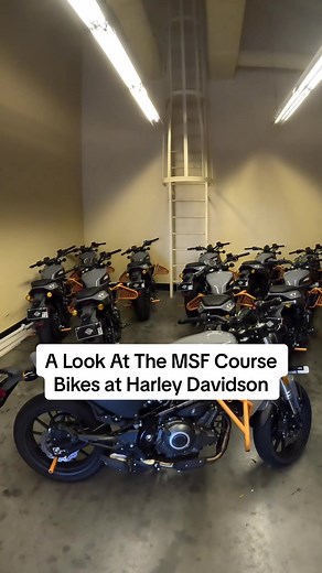 Explore MSF Course Bikes at Harley Davidson