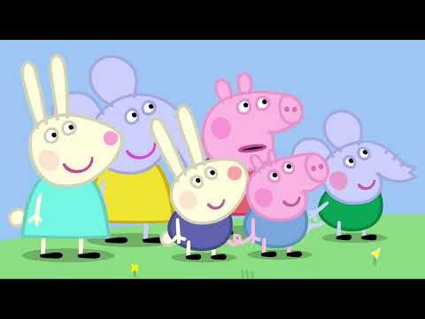 Peppa Pig Playground 🐽 | The Library | Peppa Pig Full Episodes