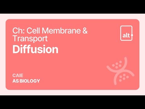 Diffusion | Cell Membrane & Transport | A Level | Biology