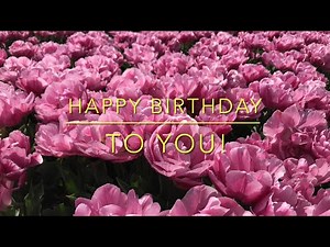 Happy Birthday to You!! Congratulations and fields full of flowers for you!
