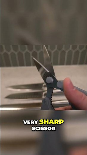 Best Scissors Review: Sharp, Smooth, and Easy to Use! #shorts
