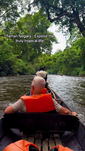 Taman Negara Pahang is part of the larger Taman Negara, a vast national park that spans three states in Malaysia: Pahang, Terengganu, and Kelantan. It is one of the oldest rainforests in the world, estimated to be over 130 million years old. Located in the central region of Peninsular Malaysia, Taman Negara Pahang is renowned for its biodiversity, offering a variety of ecosystems that are home to unique wildlife, including Malayan tigers, Asian elephants, and rare birds like the Malayan peacock-