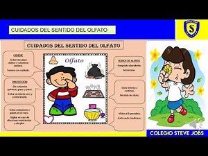 CUIDADOS DE LOS SENTIDOS