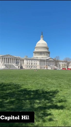 😱World Biggest Library - Library of Congress 📚#facts