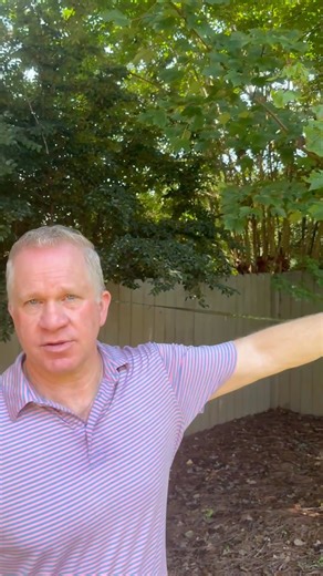 Your safety is our priority. Our team follows strict safety standards, uses top-tier equipment, and is fully licensed and insured for your peace of mind. ✅ | Richmond Tree Experts GA, Atlanta's Best Tree Service