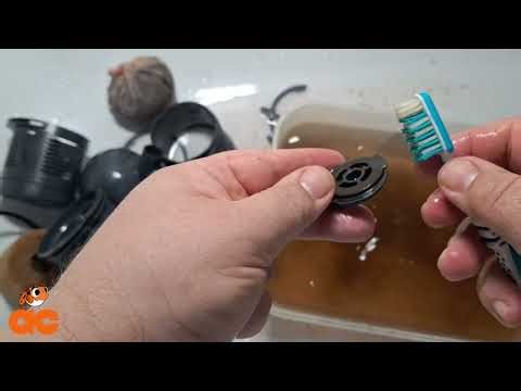 EHEIM - biopower 240 Filter Reinigung, Aquarium Filter cleaning / Aquaristik Center