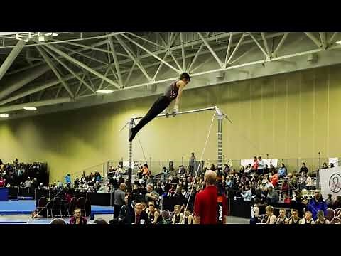 High Bar ~ USAG Levels 4 - 8 ~ Gymnastics Progression