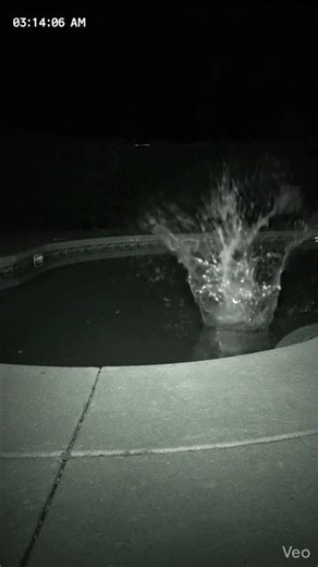 Something Climbed Out of the Pool at Night