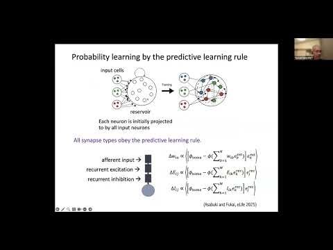Tomoki Fukai - Spontaneous replay of memory assemblies in plastic spiking network models