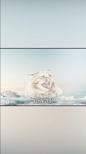 Cat Hiss Sound Variations Short Part 1 | MODIFY EVERYTHING