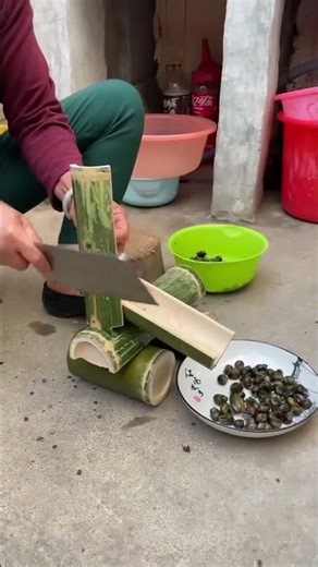 Farmer's DIY Genius: Homemade Screw Tail Cutter