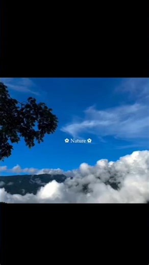 Nature......💓🕊️ #shorts #viral #nature #natural #love #peace