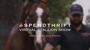 49K views · 373 reactions | Happy breeding season! Part II of our Virtual Stallion Show is now available  featuring our new and shuttle stallions, including Champion Horse of the Year, Authentic. Watch now ⬇️ | Spendthrift Farm | Facebook