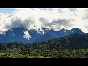 How do climate change and extreme weather impact our ecosystems?