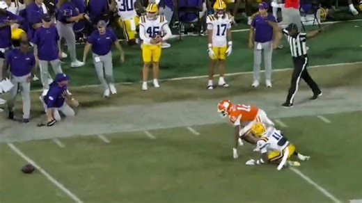 Ref takes out LSU coach during football game against Clemson