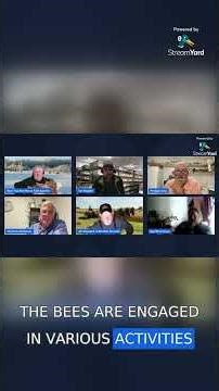 Should you feed while treating with Formic Pro?