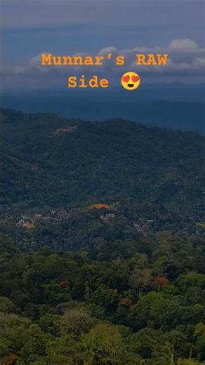 Munnar Day 2 Itinerary | Hidden & Less Crowded Side Towards Thekkady 🌿#travel #trending #ytshorts