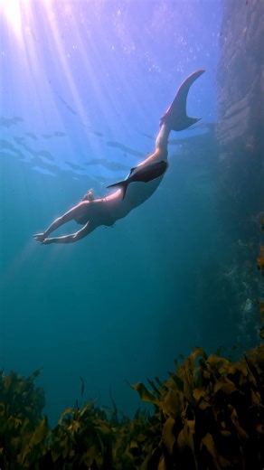 @Barekiwi PADI AmbassaDiver & GoPro Guru, filmed @around.the.world.with.robyn the real deal mermaid! Bit of fun with the @dive_zone_whitianga crew. #GoProDIVE #Padi #Dive #NewZealand #Mermaid | GoPro