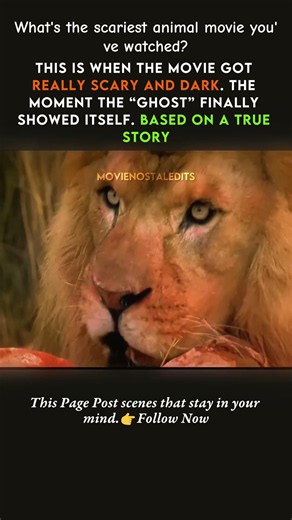 The Moment Everyone Finally Sees the “Ghost” 🦁 | The Ghost and the Darkness #shorts #movieedits