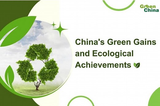 China's green gains and ecological achievements