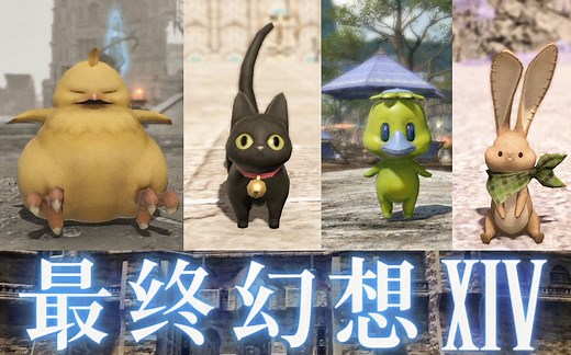 【FF14/宠物】金蝶宠物大赏！互动+展示+攻略！长须小黑豹、胖儿陆行鸟、河童童、波奇、不幸小兔、雏鸟祖、迷你尼禄！