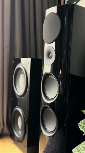 Rel 212 black label Canton reference 3 #subwoofer #hoparlör #bass #speaker #sinema #music