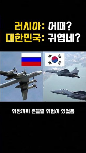러시아가 독도 영공을 침범하고 후회한이유