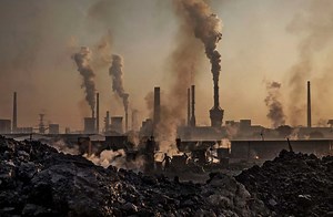 15,000 scientists warn about catastrophic impact of human actions on environment