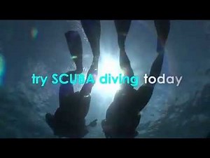 Sunlover Reef Cruises Diving