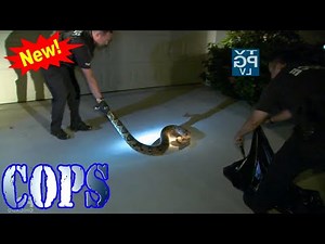 COPS Season 31 Episodes 18 | FULL EPISODES | Cops Full Episodes 2025