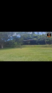 #CANALAREGUEÑO #paraguay #turismo #areguá #paseos #verano #plaza Serie Documental: Retazos de mi Areguá Isla valle y el Barrio Maria Auxiliadora de Areguá Lugar tranquilo y con gente muy buena y luchadora.. Necesitan mas atención del gobierno Municipal.. | Canal Aregueño