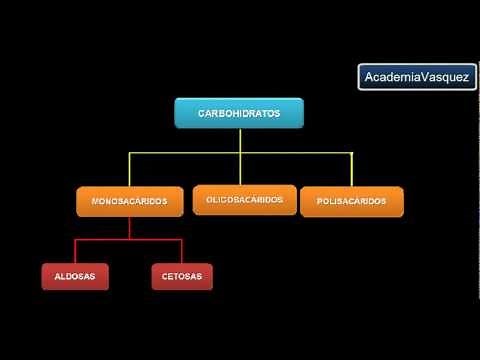 Monosacáridos o Azúcares Simples