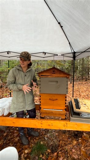 The Birds & The Bees Homestead on Instagram: "Let’s get my beehive ready for winter! 🐝 hopefully these bees are warm & dry and have lots of food to get them through this upcoming winter! #homestead #homesteading #beekeeping #honeybees #homesteadlife"